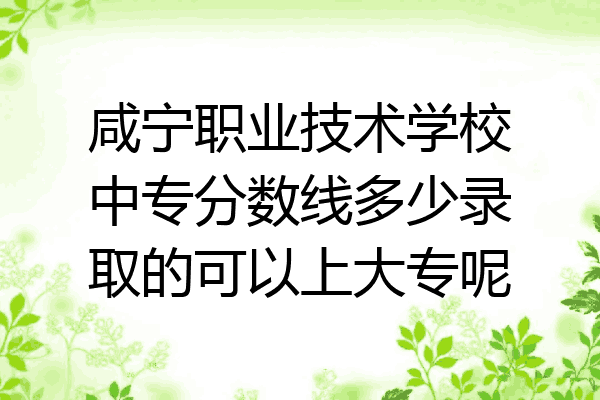 咸宁职业技术学校中专分数线多少录取的可以上大专呢