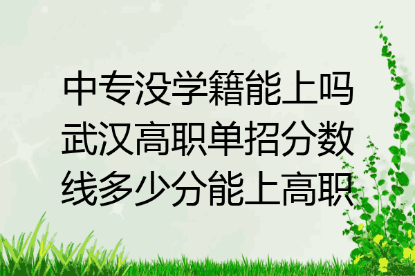 中专没学籍能上吗武汉高职单招分数线多少分能上高职