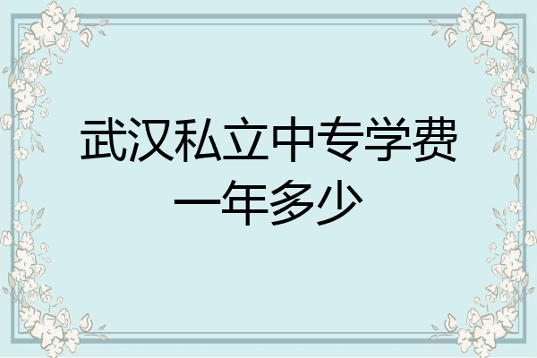 武汉私立中专学费一年多少