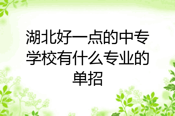 湖北好一点的中专学校有什么专业的单招