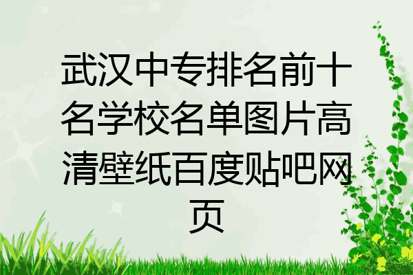 武汉中专排名前十名学校名单图片高清壁纸百度贴吧网页