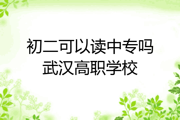 初二可以读中专吗武汉高职学校