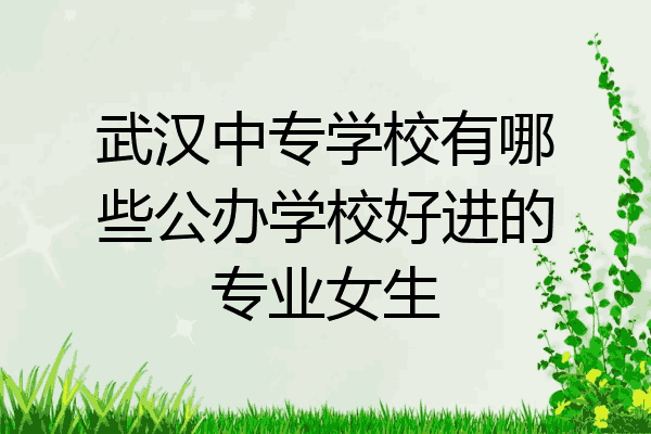 武汉中专学校有哪些公办学校好进的专业女生