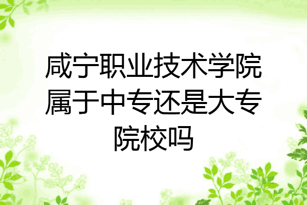 咸宁职业技术学院属于中专还是大专院校吗