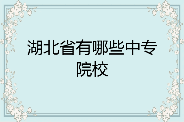 湖北省有哪些中专院校