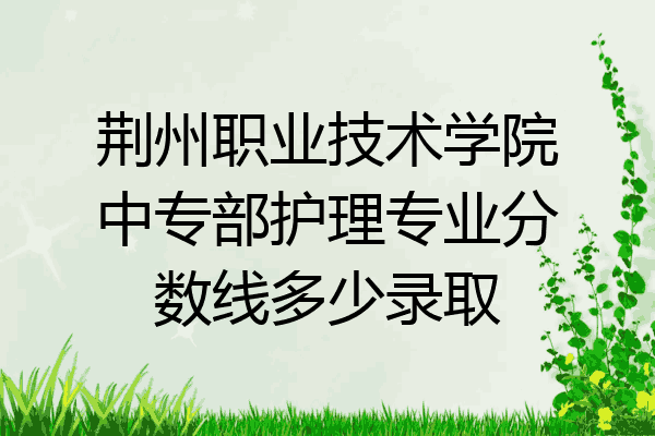 荆州职业技术学院中专部护理专业分数线多少录取