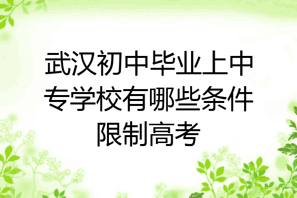 武汉初中毕业上中专学校有哪些条件限制高考