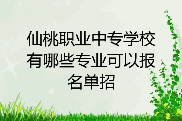 仙桃职业中专学校有哪些专业可以报名单招