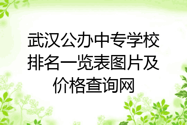 武汉公办中专学校排名一览表图片及价格查询网