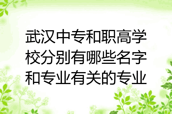 武汉中专和职高学校分别有哪些名字和专业有关的专业