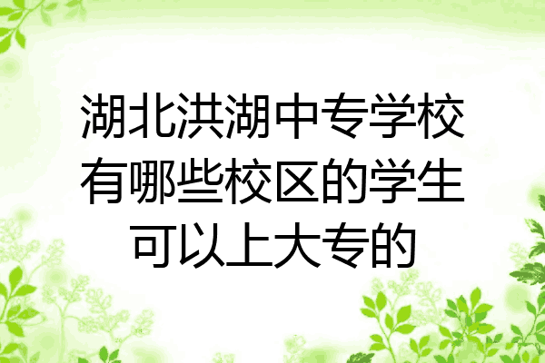 湖北洪湖中专学校有哪些校区的学生可以上大专的