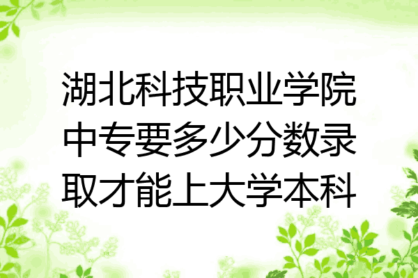湖北科技职业学院中专要多少分数录取才能上大学本科