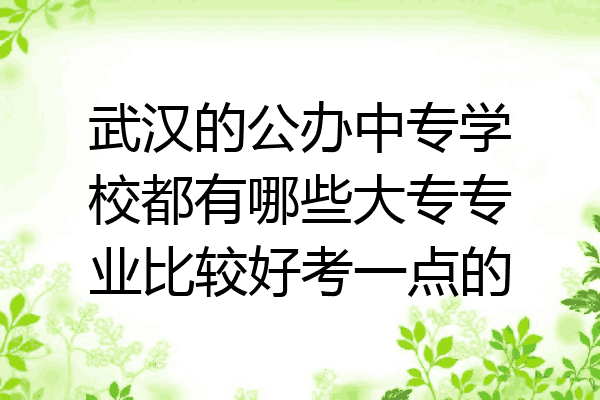 武汉的公办中专学校都有哪些大专专业比较好考一点的