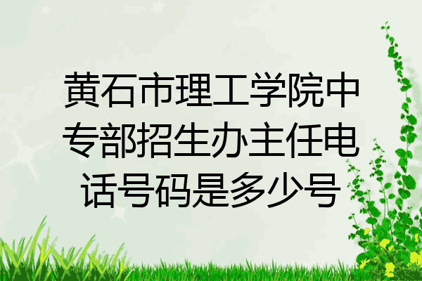 黄石市理工学院中专部招生办主任电话号码是多少号