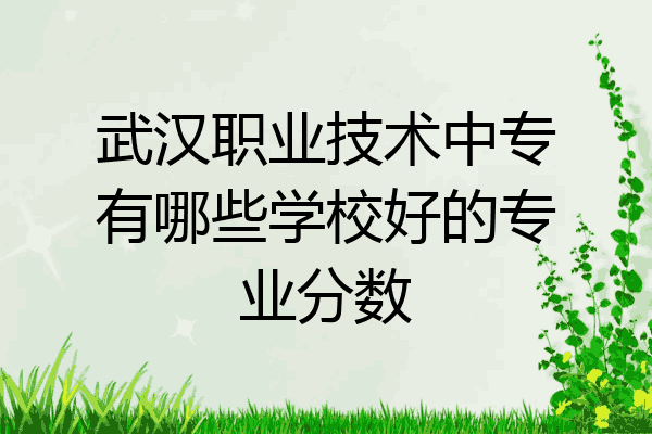 武汉职业技术中专有哪些学校好的专业分数