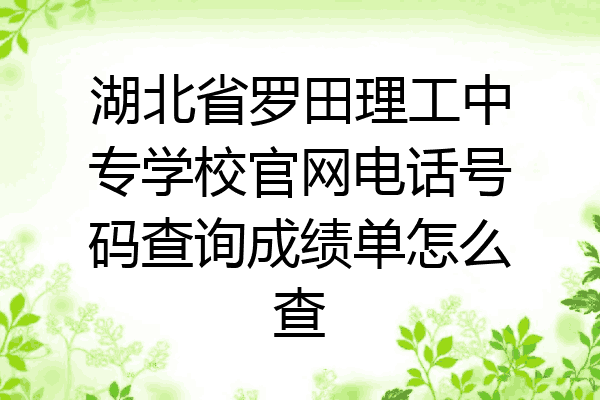 湖北省罗田理工中专学校官网电话号码查询成绩单怎么查