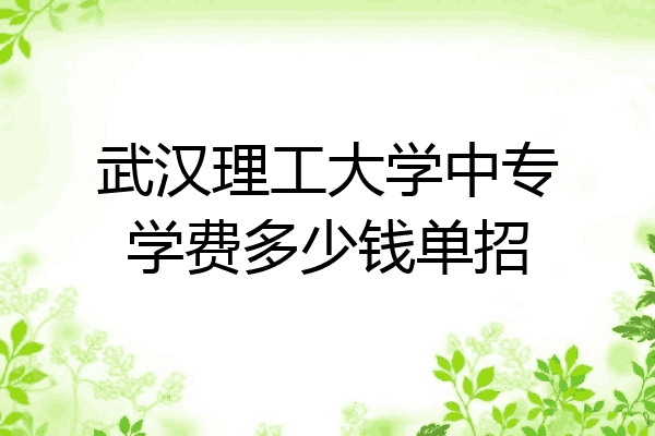 武汉理工大学中专学费多少钱单招