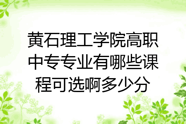 黄石理工学院高职中专专业有哪些课程可选啊多少分