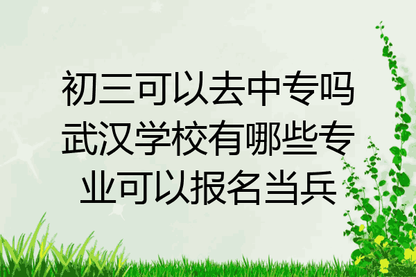 初三可以去中专吗武汉学校有哪些专业可以报名当兵