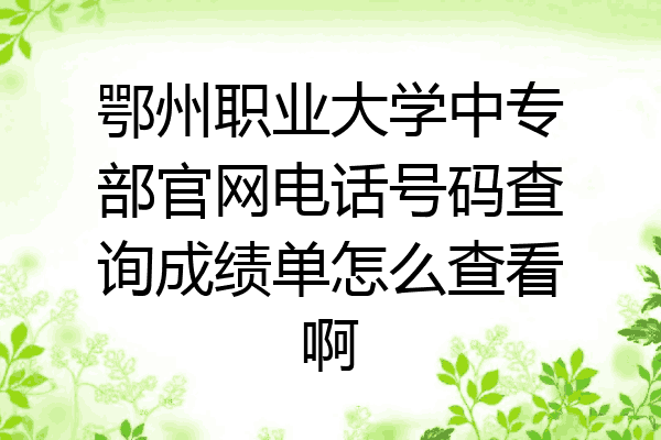 鄂州职业大学中专部官网电话号码查询成绩单怎么查看啊