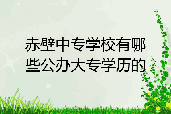 赤壁中专学校有哪些公办大专学历的