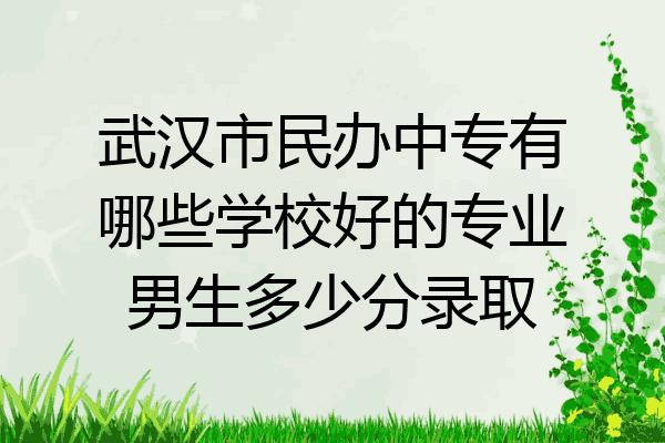 武汉市民办中专有哪些学校好的专业男生多少分录取