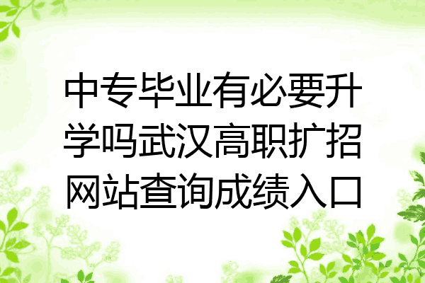 中专毕业有必要升学吗武汉高职扩招网站查询成绩入口