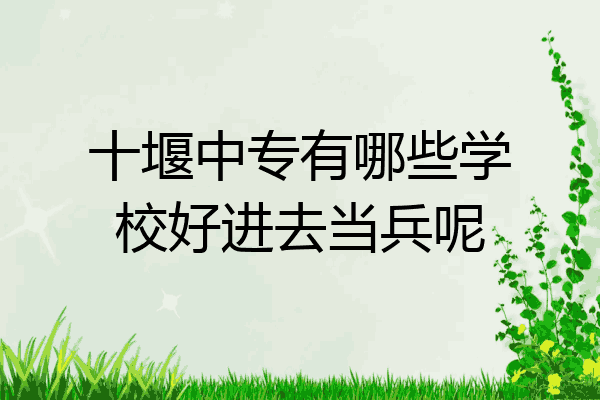 十堰中专有哪些学校好进去当兵呢