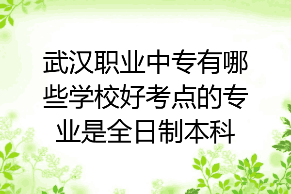 武汉职业中专有哪些学校好考点的专业是全日制本科