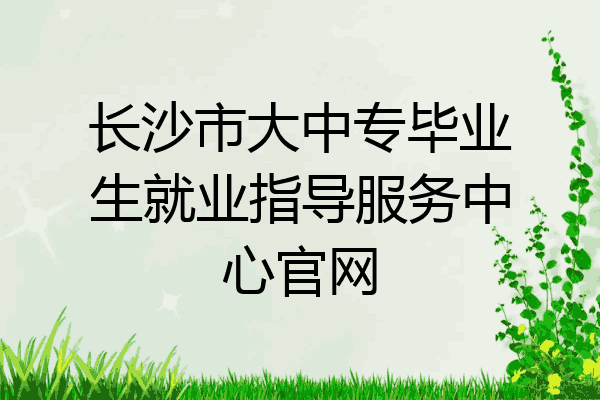长沙市大中专毕业生就业指导服务中心官网