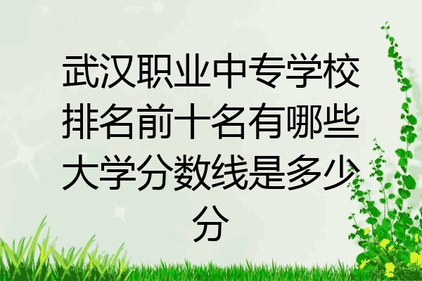 武汉职业中专学校排名前十名有哪些大学分数线是多少分