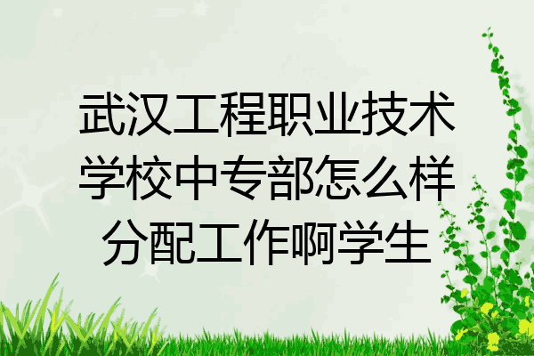 武汉工程职业技术学校中专部怎么样分配工作啊学生