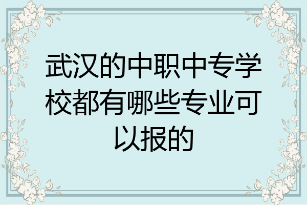 武汉的中职中专学校都有哪些专业可以报的