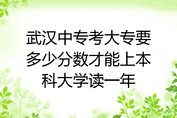 武汉中专考大专要多少分数才能上本科大学读一年