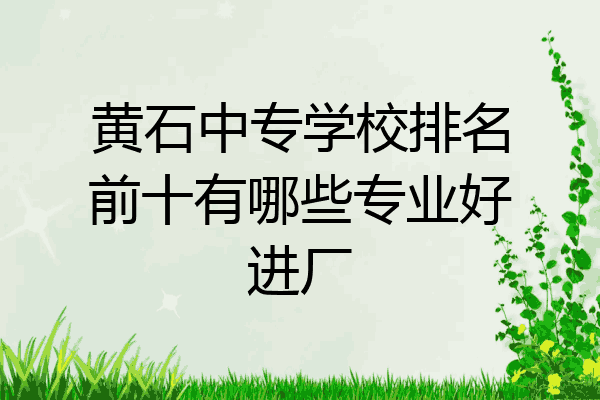 黄石中专学校排名前十有哪些专业好进厂