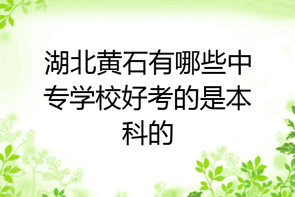 湖北黄石有哪些中专学校好考的是本科的