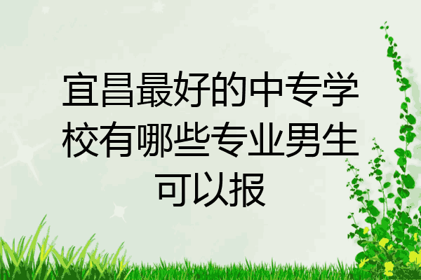 宜昌最好的中专学校有哪些专业男生可以报