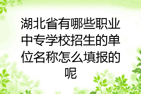 湖北省有哪些职业中专学校招生的单位名称怎么填报的呢