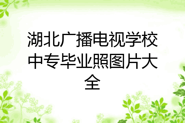 湖北广播电视学校中专毕业照图片大全