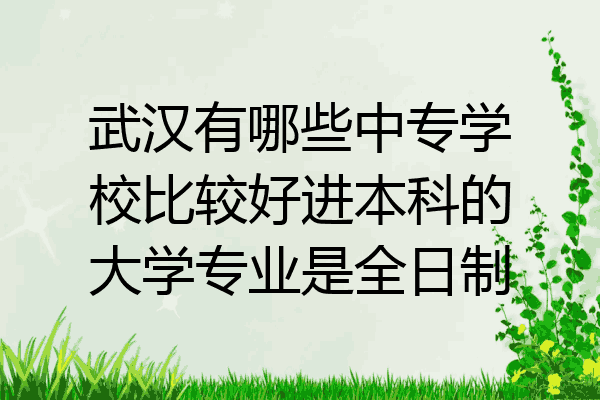 武汉有哪些中专学校比较好进本科的大学专业是全日制
