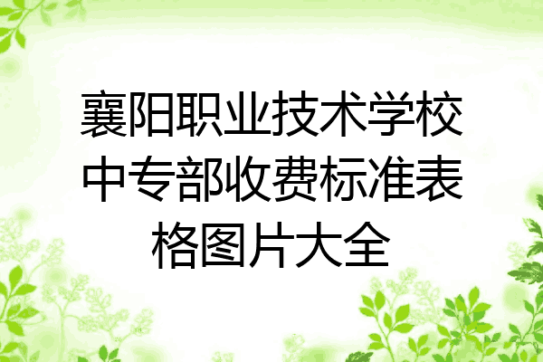 襄阳职业技术学校中专部收费标准表格图片大全