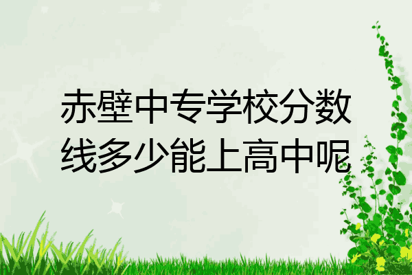 赤壁中专学校分数线多少能上高中呢