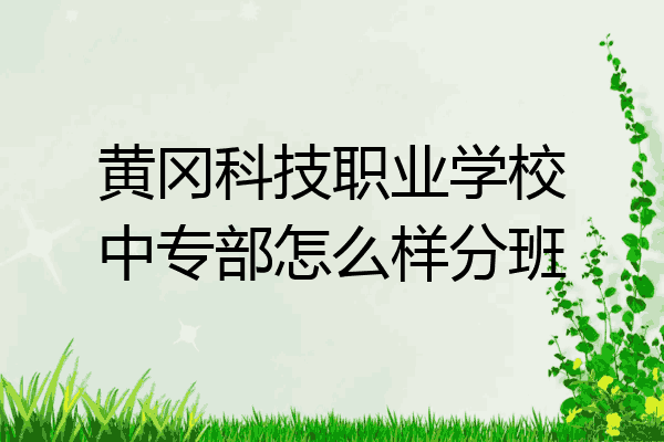 黄冈科技职业学校中专部怎么样分班