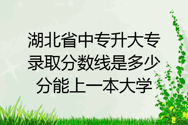 湖北省中专升大专录取分数线是多少分能上一本大学