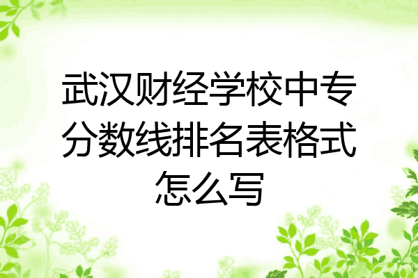 武汉财经学校中专分数线排名表格式怎么写