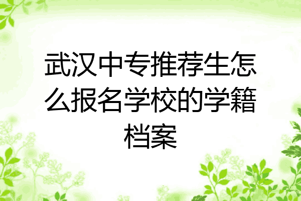 武汉中专推荐生怎么报名学校的学籍档案