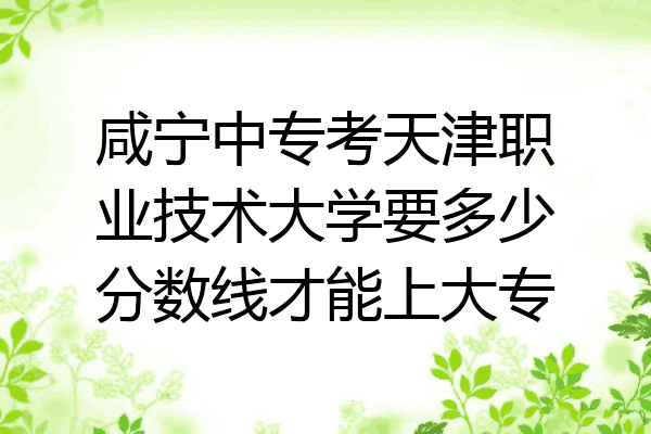 咸宁中专考天津职业技术大学要多少分数线才能上大专