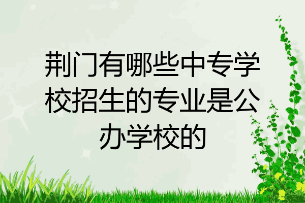 荆门有哪些中专学校招生的专业是公办学校的