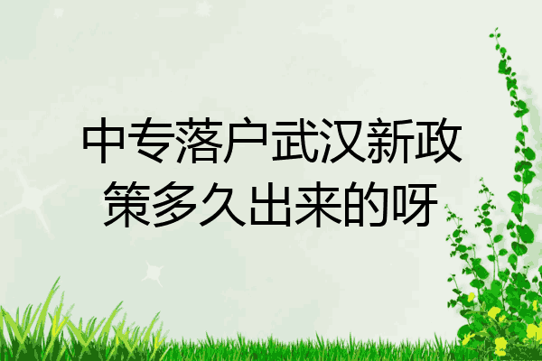中专落户武汉新政策多久出来的呀