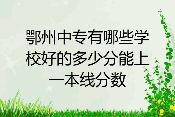 鄂州中专有哪些学校好的多少分能上一本线分数